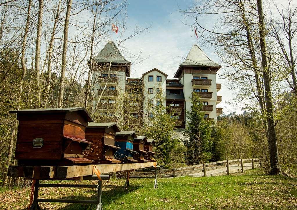 Hotel The Alpina Gstaad Zewnętrze zdjęcie